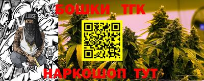 гидра Лесосибирск