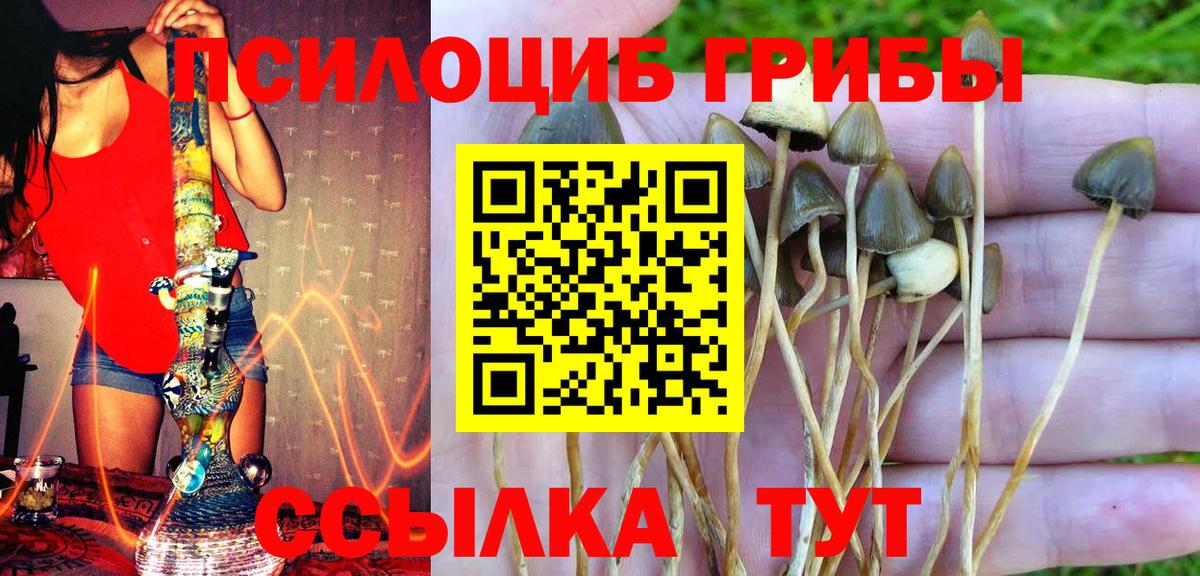 Галлюциногенные грибы GOLDEN TEACHER  Вход с VPN  Заводоуковск  Галлюциногенные грибы ЛСД 